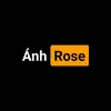 anhrose15102003
