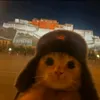 yscartissue13