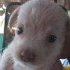 yuval0282721