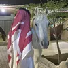youssef.alsayyah