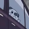 finn_tzs