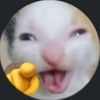 oxito_pro