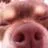 user54619223