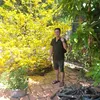 phiken92