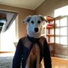 cesarsallad10