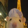 tlincapy