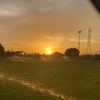 loera_67