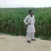 zohaibhassansiyal50