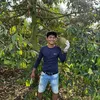 lamphan018
