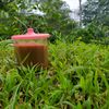 vario_mules