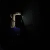 p..a_c