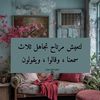 userhabiba42