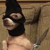 taylornorwood73