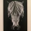unicorn.861