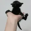 unseenshadowbeing