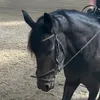 fridasmoothhand