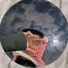 sallh3030282