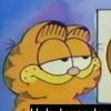 garfield_is_swag