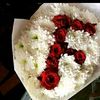 fadwahabib
