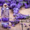 lavander436