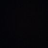 kartal_8981