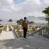 danphongg