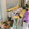 tran_huong196