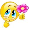 andres.lmedo