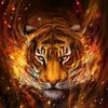 vlad_dj6670