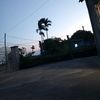 dominhanhh0910