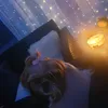 anula_lili