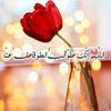 fooz353
