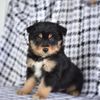 milestheminiaussie
