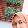 laily_ambri