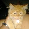 indietasik.0