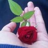 achmadirfan241