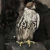 maryoomah40
