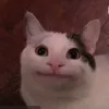 zaebabaaaa