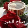 halsh48