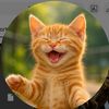 MeowRealm