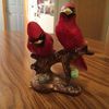 thealbatross17