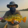 danhfishinglure