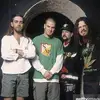 olirocks