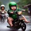 firmanr379