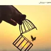 tahseen811