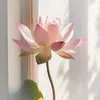 user4hwgtivur5