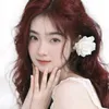 nhohuong202