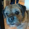 manuandhisdog