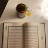 beesh_70