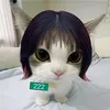 https_lisa1